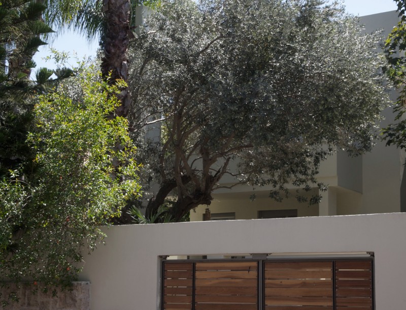 Gal Tevet Architects © גל טבת אדריכלים